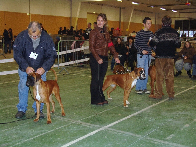 Carmen dite Cheyenne (Sans Affixe)