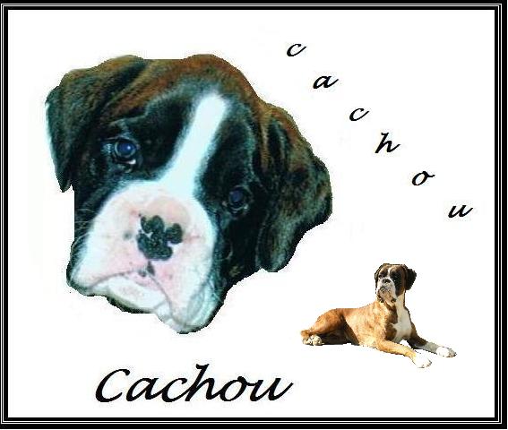 Cachou (Sans Affixe)
